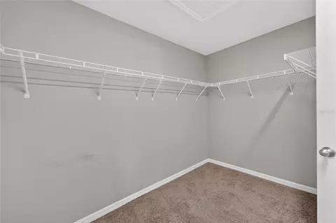 Other - 12820 Bent Twig Dr, Riverview, FL 33579 photo 6 of 18