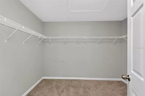 Other - 12820 Bent Twig Dr, Riverview, FL 33579 photo 7 of 18