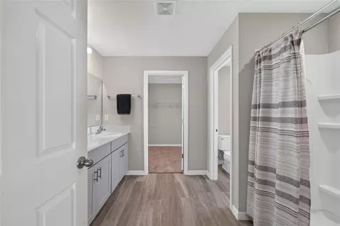Bath - 12820 Bent Twig Dr, Riverview, FL 33579 photo 1 of 6