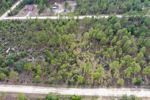 0000 NE 132 Terrace Lot 3 Ter, Williston, FL 32696 photo 8
