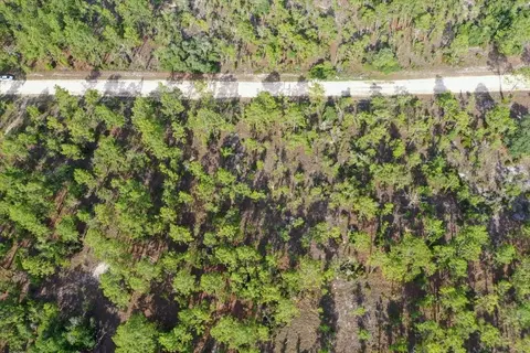 0000 NE 132 Terrace Lot 3 Ter, Williston, FL 32696 photo 4