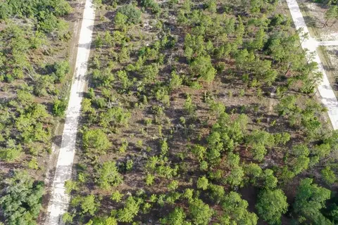 0000 NE 132 Terrace Lot 3 Ter, Williston, FL 32696 photo 2