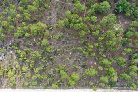 0000 NE 132 Terrace Lot 3 Ter, Williston, FL 32696 photo 9