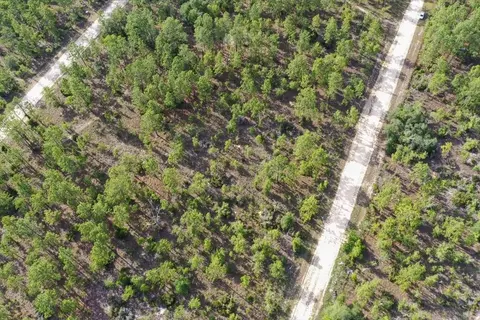 0000 NE 132 Terrace Lot 3 Ter, Williston, FL 32696 photo 7