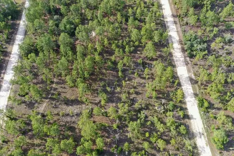 0000 NE 132 Terrace Lot 3 Ter, Williston, FL 32696 photo 6