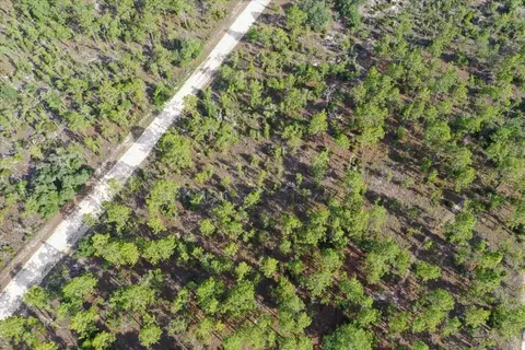 0000 NE 132 Terrace Lot 3 Ter, Williston, FL 32696 photo 3