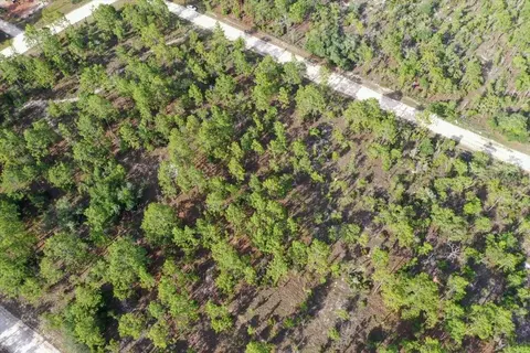 0000 NE 132 Terrace Lot 3 Ter, Williston, FL 32696 photo 5