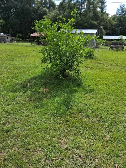 5741 NW 191st Pl, Reddick, FL 32686 photo 23