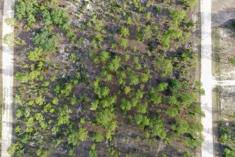 0000 NE 131 Lot 7 Ter, Williston, FL 32696 photo 10
