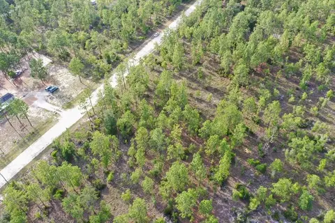 0000 NE 131 Lot 7 Ter, Williston, FL 32696 photo 6