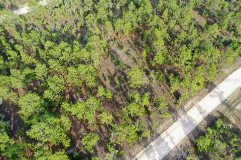 0000 NE 131 Lot 7 Ter, Williston, FL 32696 photo 2