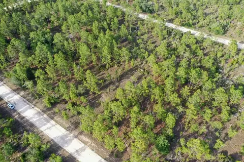 0000 NE 131 Lot 7 Ter, Williston, FL 32696 photo 4