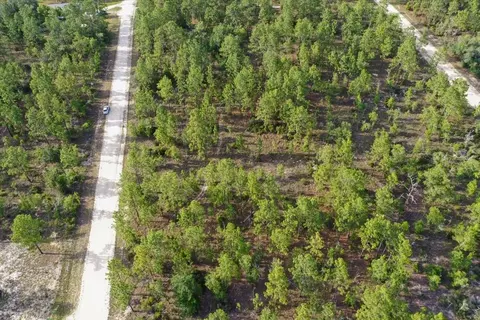 0000 NE 131 Lot 7 Ter, Williston, FL 32696 photo 5