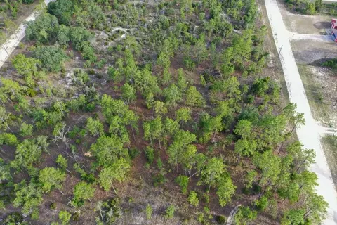 0000 NE 131 Lot 7 Ter, Williston, FL 32696 photo 9