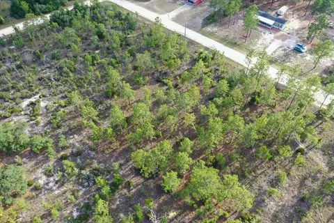 0000 NE 131 Lot 7 Ter, Williston, FL 32696 photo 8