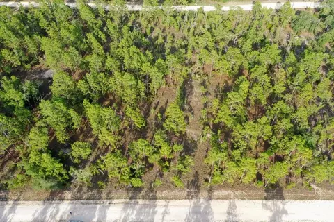 0000 NE 131 Lot 7 Ter, Williston, FL 32696 photo 3