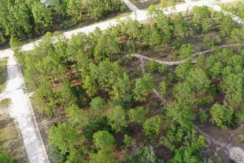 0000 NE 131 Lot 10 Ter, Williston, FL 32696 photo 8
