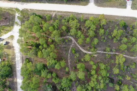 0000 NE 131 Lot 10 Ter, Williston, FL 32696 photo 9