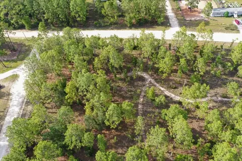 0000 NE 131 Lot 10 Ter, Williston, FL 32696 photo 7