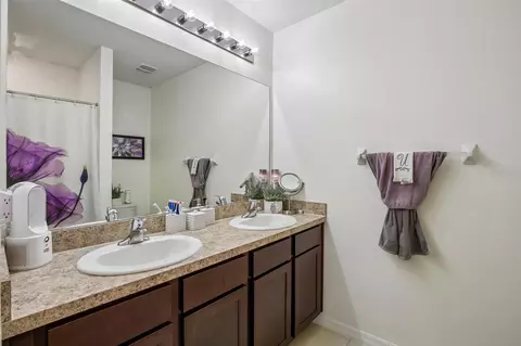 Bath - 11008 Leland Groves Dr, Riverview, FL 33579 photo 1 of 3