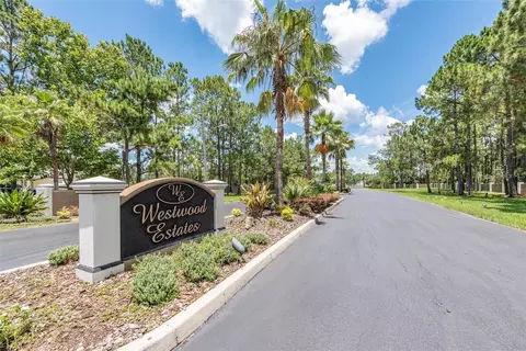 8616 Spring Forest Ln, Wesley Chapel, FL 33544