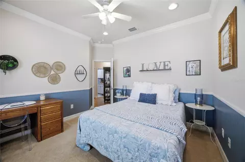 Bedroom - 2013 Raven Manor Dr, Dover, FL 33527 photo 6 of 11