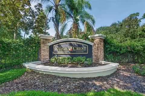 Other - 1314 Rowantree Dr, Dover, FL 33527 photo 28 of 28