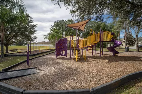 Other - 1314 Rowantree Dr, Dover, FL 33527 photo 27 of 28