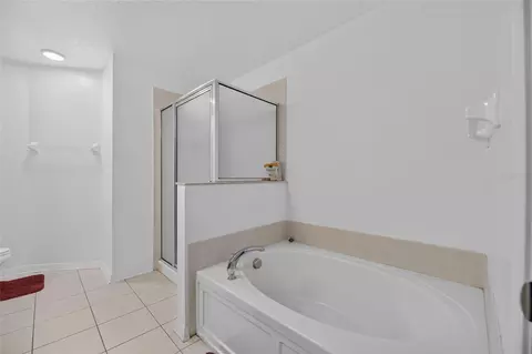 Bath - 9212 River Rock Ln, Riverview, FL 33578 photo 3 of 4
