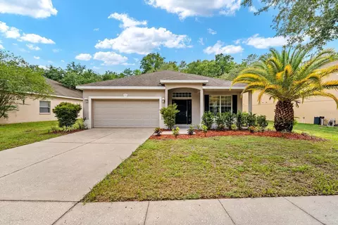 Undisclosed, New Port Richey, FL 34654