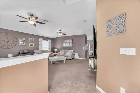 10904 Rainbow Pyrite Dr, Wimauma, FL 33598 photo 4