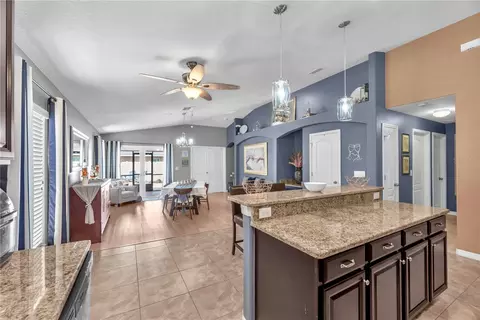 10904 Rainbow Pyrite Dr, Wimauma, FL 33598 photo 10