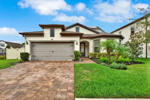 19234 Mossy Pine Dr, Tampa, FL 33647