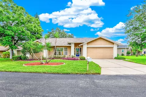 10529 Ayr Ct, New Port Richey, FL 34654