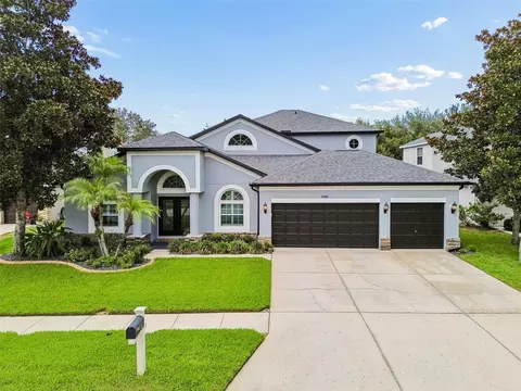 21500 Cormorant Cove Dr, Land O Lakes, FL 34637