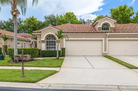 3777 Darston St, Palm Harbor, FL 34685