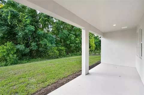 Other - 1634 Cane Bamboo Dr, Saint Cloud, FL 34771 photo 4 of 4