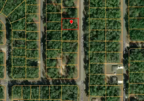 1495 E Citrus Springs Blvd, Citrus Springs, FL 34434