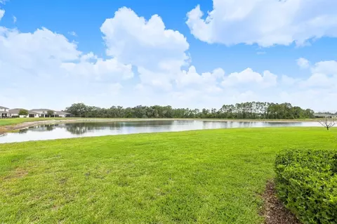 View/Area - 10708 Planer Picket Dr, Riverview, FL 33569 photo 3 of 15