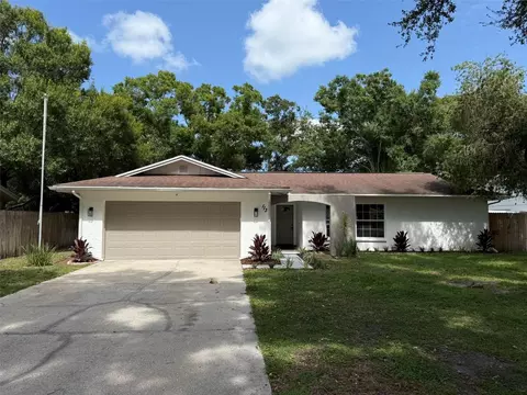 113 Kendale Dr, Safety Harbor, FL 34695