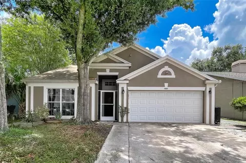 11109 Bramblebrush St, Tampa, FL 33624