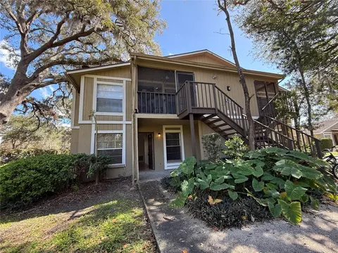 14308 Hanging Moss Cir #102, Tampa, FL 33613