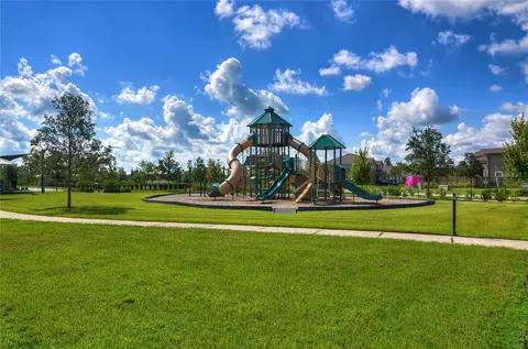View/Area - 1621 Leaf Flower Ln, Lutz, FL 33558 photo 8 of 11