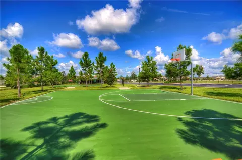 View/Area - 1621 Leaf Flower Ln, Lutz, FL 33558 photo 6 of 11