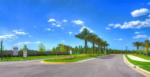 View/Area - 1621 Leaf Flower Ln, Lutz, FL 33558 photo 10 of 11