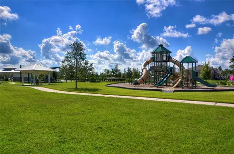 View/Area - 1621 Leaf Flower Ln, Lutz, FL 33558 photo 7 of 11