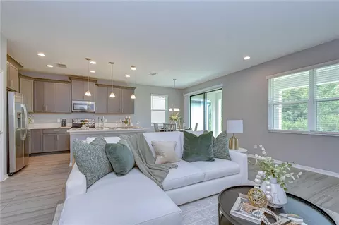 Living - 1621 Leaf Flower Ln, Lutz, FL 33558 photo 5 of 7