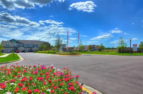 View/Area - 1621 Leaf Flower Ln, Lutz, FL 33558 photo 9 of 11