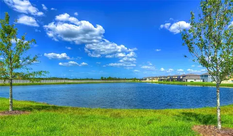View/Area - 1621 Leaf Flower Ln, Lutz, FL 33558 photo 11 of 11