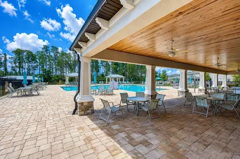 View/Area - 1621 Leaf Flower Ln, Lutz, FL 33558 photo 3 of 11